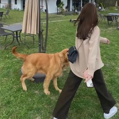 大男当婚